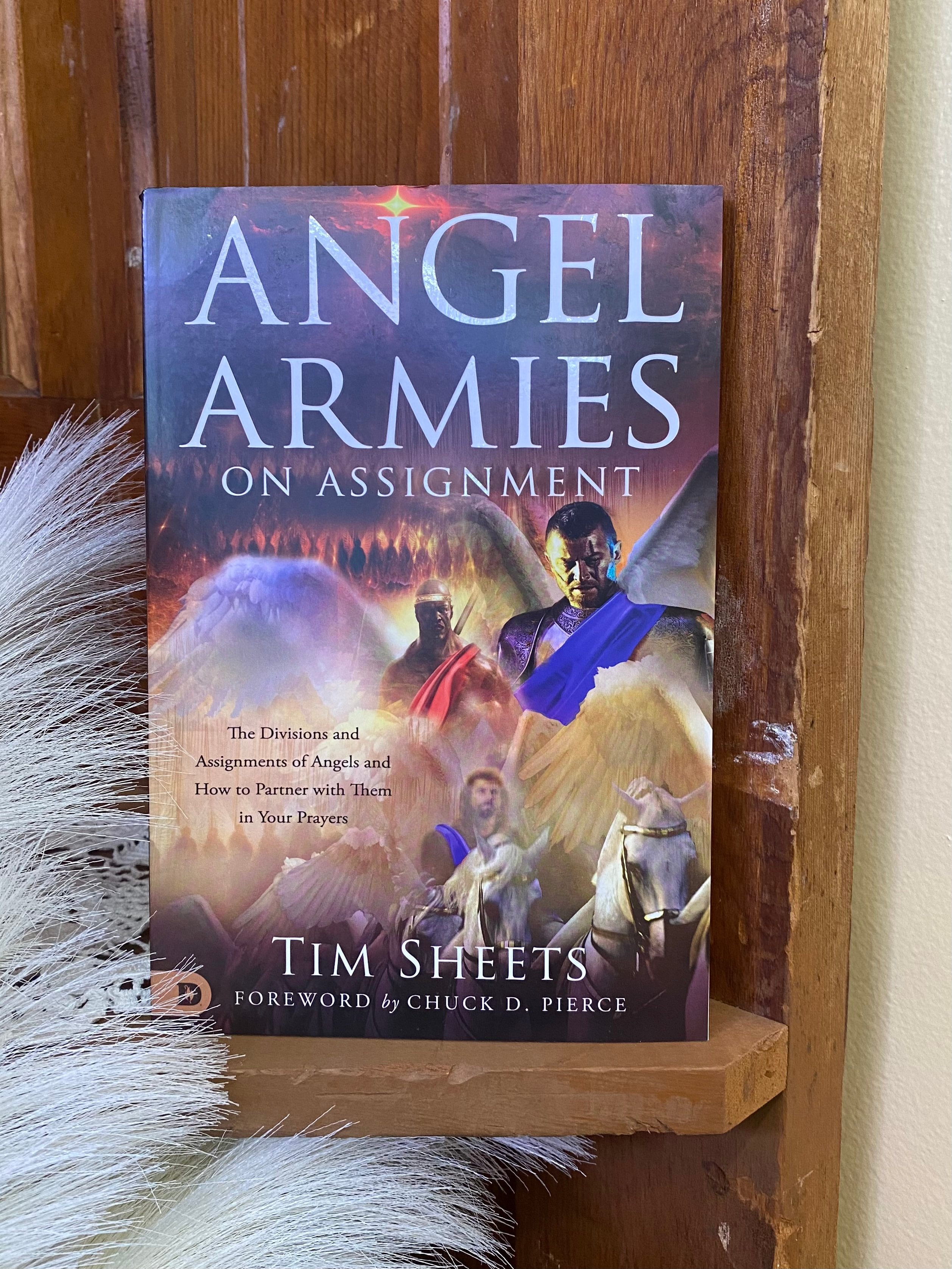 the assignment of angels